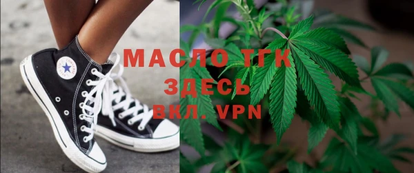 индика Аркадак