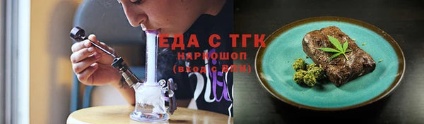 индика Аркадак