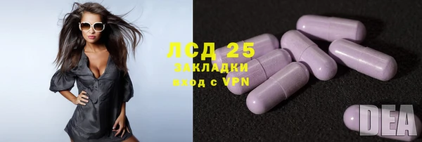 индика Аркадак